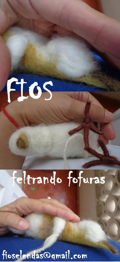 feltrando bichos